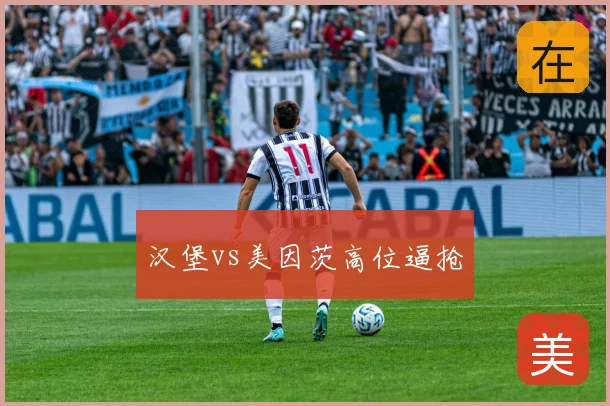 汉堡vs美因茨高位逼抢
